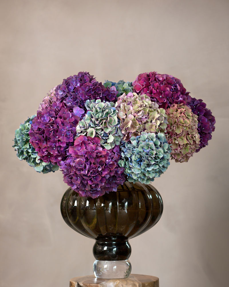 Inred-med-blommor-i-höst-Hortensia-1.jpg